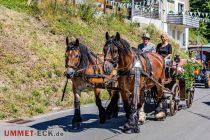 Schützenfest Hunswinkel 2022 - Ein Pferdegespann war mit dabei.  • © ummeteck.de - Silke Schön