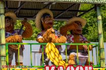 Tom der Tiger (Wegener) - Kirmes - Achterbahn - Die Bahn ist vollthematisiert. • © ummet-eck.de - Schön