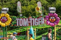 Tom der Tiger (Wegener) - Achterbahn - Bilder 2023 - Die Achterbahn stammt aus dem Jahr 2014 und ist gerade auch an Familientagen der Renner. • © ummet-eck.de - Schön