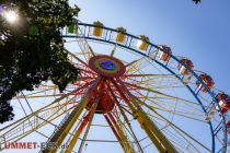 Das Riesenrad von Willenborg mitten im Wald. • © ummet-eck.de - Christian Schön