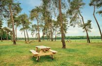 Der Picknickplatz bei den Wildpferden. • © Münsterland e.V./ Philipp Fölting