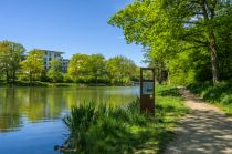 Wasserstaaten Rundweg am Gambachsweiher • © Klaus-Peter Kappest, Stadt Freudenberg