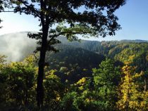 Wälder auf dem Leuscheid • © Felix Knopp, Naturregion Sieg