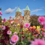 Der Dahliengarten in Legden. • © Münsterland e.V.