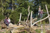 Walderlebnisparcours Kölschkier, Spinnennetz • © Eifel Tourismus GmbH, Tobias Vollmer - finanziert duch REACT-EU