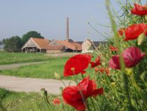 Alte Ziegelei in Wiedenbrück • © Ewald Kirschner, Flora Westfalica -FGS- Fördergesellschaft Wirtschaft und Kultur mbH Rheda-Wiedenbrück