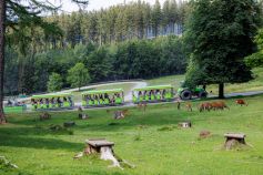 Fahrt mit Panos Express durch den Wildpark im Panorama Park. • © ummeteck.de - Christian Schön