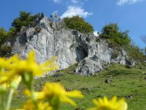 Hoher Stein im NSG Lörmecketal • © Stadt Rüthen Hötte