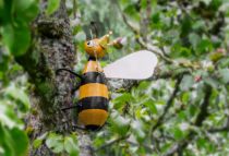 Bienenlehrpfad Eitorf • © Daniel Neisser, Naturregion Sieg GbR