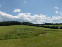 Blick über Wiesen bei Waldbröl • © Sabine Dohrmann / Das Bergische