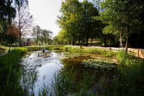 Der Teich am Bibertal bei Rüthen • © Sabrina Voss, Sauerland-Tourismus e.V. 