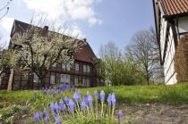 Haus Aussel Frühjahr • © Flora Westfalica GmbH