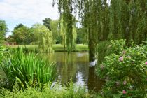Der See im Losbergpark. • © Münsterland e.V.