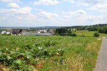  • © Stadt Bornheim, Rhein-Voreifel Touristik e.V. , Stadt Bornheim