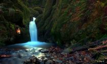 Naturschutzgebiet Bommecketal • © Tony Meyer