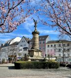 Siegessäule im Frühling.jpg • © Alexandra Apfelbaum