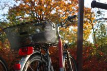 Fahrrad in Schloß Holte-Stukenbrock • © Teutoburger_Wald_Stadt_Schloss_Holte-Stukenbrock, Stadt Schloß Holte-Stukenbrock