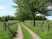 Markierungszeichen am Wanderweg • © Das Bergische/Maren Pussak