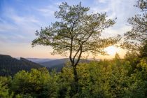  • © Klaus-Peter Kappest, Sauerland-Tourismus e.V. 