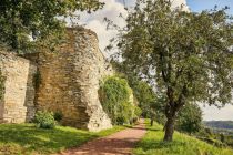 Die Burgruine Stromberg. • © Münsterland e.V./ Philipp Fölting