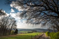 Ein schöner Blick in die Natur auf dem Lehrpfad • © Juergen Finkhaeuser