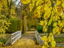 lippetal-park-schloss-hovestadt-herbst • © Münsterland e.V.