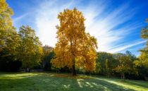 Revierpark Gysenberg Herne • © Hanjo Schumacher