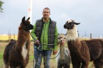 Molbach-Alpacas • © Familie Michaelis