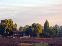 Panorama der Westruper Heide • © Münsterland e.V.