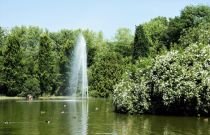 Ein Teich im Gemeindepark. • © Münsterland e.V.