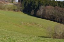 Die Aggerquelle befindet sich auf einer Weide unweit der Meinhardus Skisprungschanzen in Meinerzhagen. Spektakulär ist das nicht. • © ummet-eck.de / christian schön