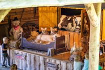 Viele Tiere machen mit beim Old McDonalds Farmtheater - natürlich keine echten. :-)  • © ummeteck.de - Silke Schön