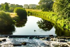 Die Ems fließt durch Greven. • © Münsterland e.V.