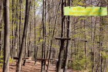 Ein Teil des Kletterwaldes in Halver. • © ummeteck.de - Silke Schön