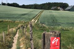 Blick auf neanderland Steig- Entdeckerschleife "Biohöfe im Windrather Tal". • © Tourismus NRW, Hannah Förster