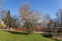 Früher waren es nur die Wupperwiesen - heute ists der Ludwig-Rehbock Park. Die Wupper im Zentrum - viel Entspannung drumherum. • © ummet-eck.de / christian schön