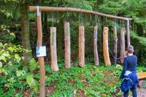 Verschiedene Baumarten klingen unterschiedlich, eine spannende Entdeckung auf dem Wald-Aktiv-Pfad. • © ummeteck.de - Christian Schön