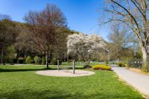 Der Kurpark in Morsbach.  • © ummeteck.de - Silke Schön