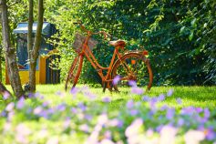 Der Vier-Jahreszeiten-Park in Oelde ist ein schönes Naherholungsziel. • © Münsterland e.V. / Philipp Fölting