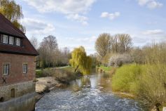 Ausblick in den Dümmert-Park. • © Münsterland e.V. / Philipp Fölting