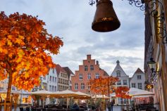 Die Stadt Warendorf besticht durch ihre prächtigen Bürgerhäuser, altes Fachwerk, verwinkelte Gassen und die nahe Lage zur Ems. • © Münsterland e.V.