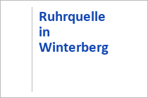 Ruhrquelle in Winterberg