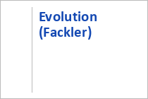 Evolution (Fackler)