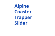 Der Alpine Coaster am Alpincenter in Bottrop ist derzeit leider wegen der Umbauarbeiten an der Skihalle geschlossen.  • © ummet-eck.de / christian schön