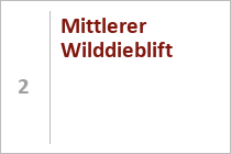 Mittlerer Wilddieblift
