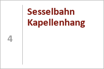 Das Förderband Tenne rechts neben dem Tellerlift Tenne 2 - gesehen vom Westhang aus. • © ummet-eck.de / christian schön