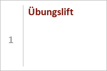 Das Förderband Tenne rechts neben dem Tellerlift Tenne 2 - gesehen vom Westhang aus. • © ummet-eck.de / christian schön