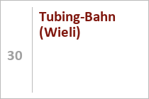 Das Förderband Tenne rechts neben dem Tellerlift Tenne 2 - gesehen vom Westhang aus. • © ummet-eck.de / christian schön