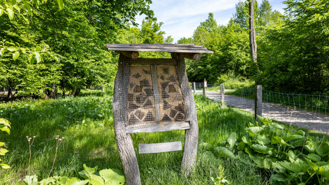 Der Waldklimapfad in Wiehl ist seit Ende Mai offiziell eröffnet. An diesem Insektenhotel führt er vorbei. // Foto: ummeteck.de - Silke Schön