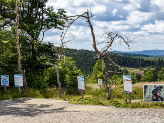 Welcher Trails darf es denn sein? Die Auswahl fällt schwer - wie hier in Willingen (Upland). // Foto: ummet-eck.de - Christian Schön